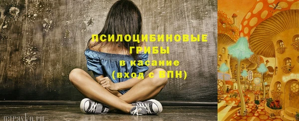 прущий лед Алексин