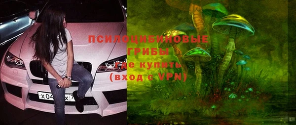 прущий лед Алексин