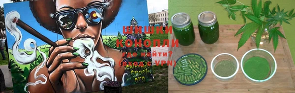 дмт Алексеевка