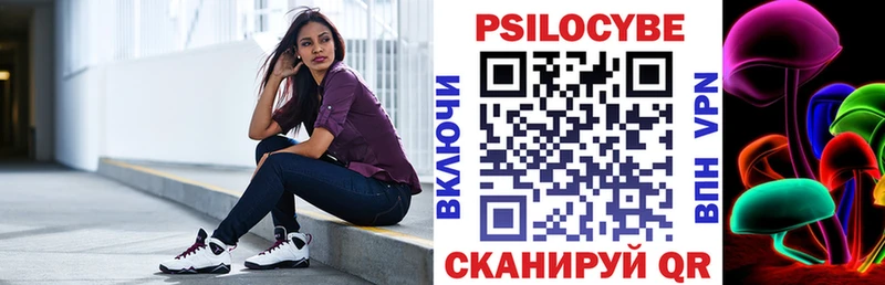 Купить где  Пойковский  Галлюциногенные грибы Psilocybe 